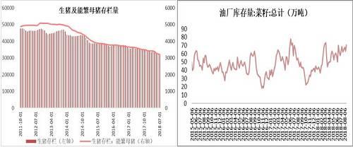 【菜粕】菜粕短线回调 中长期大概率上涨